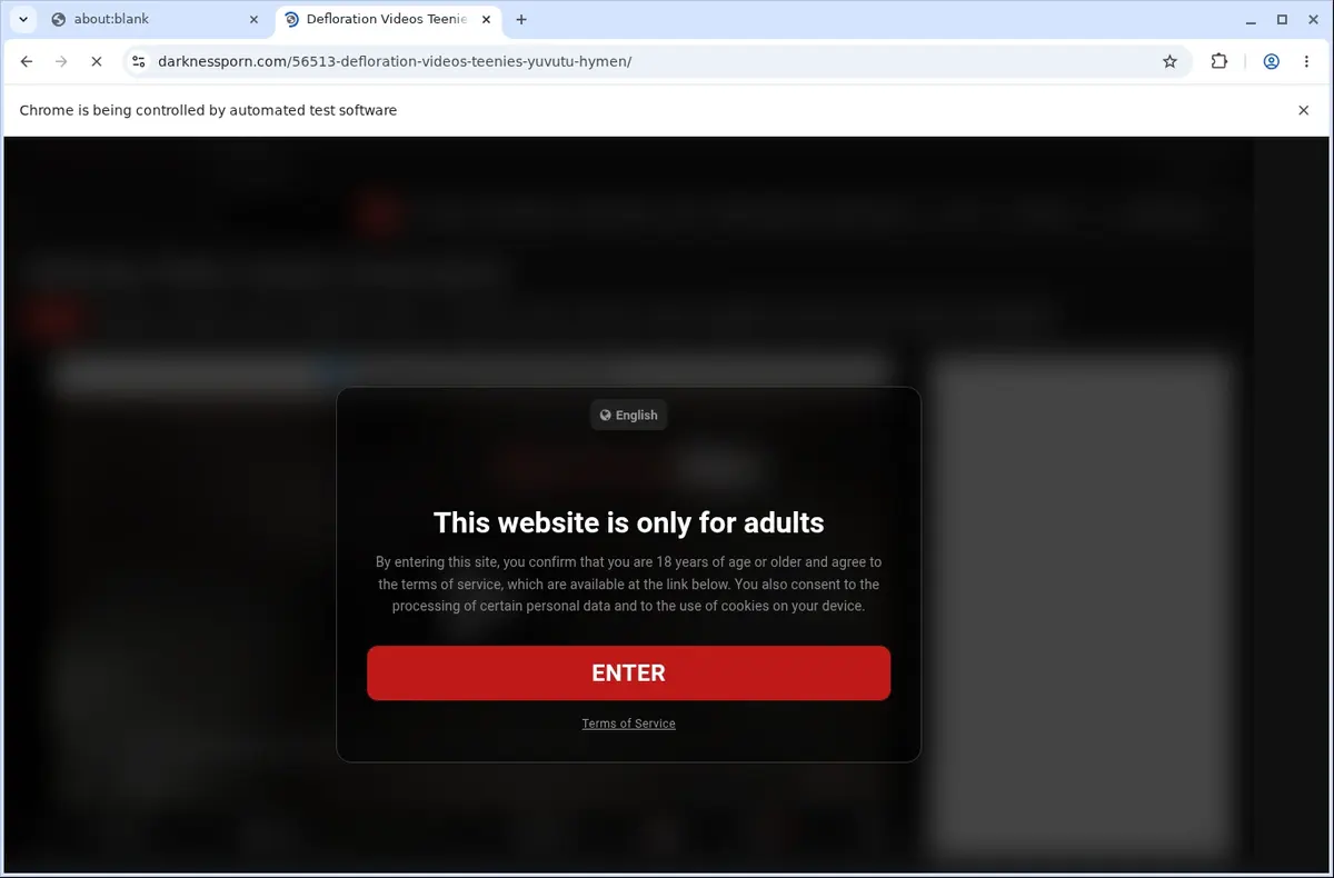 Darknessporn Downloader page open in the browser