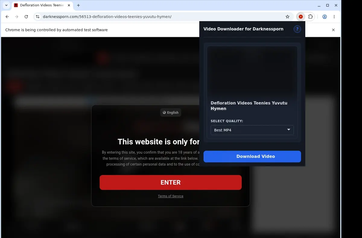 Darknessporn Downloader showing detected media ready to download