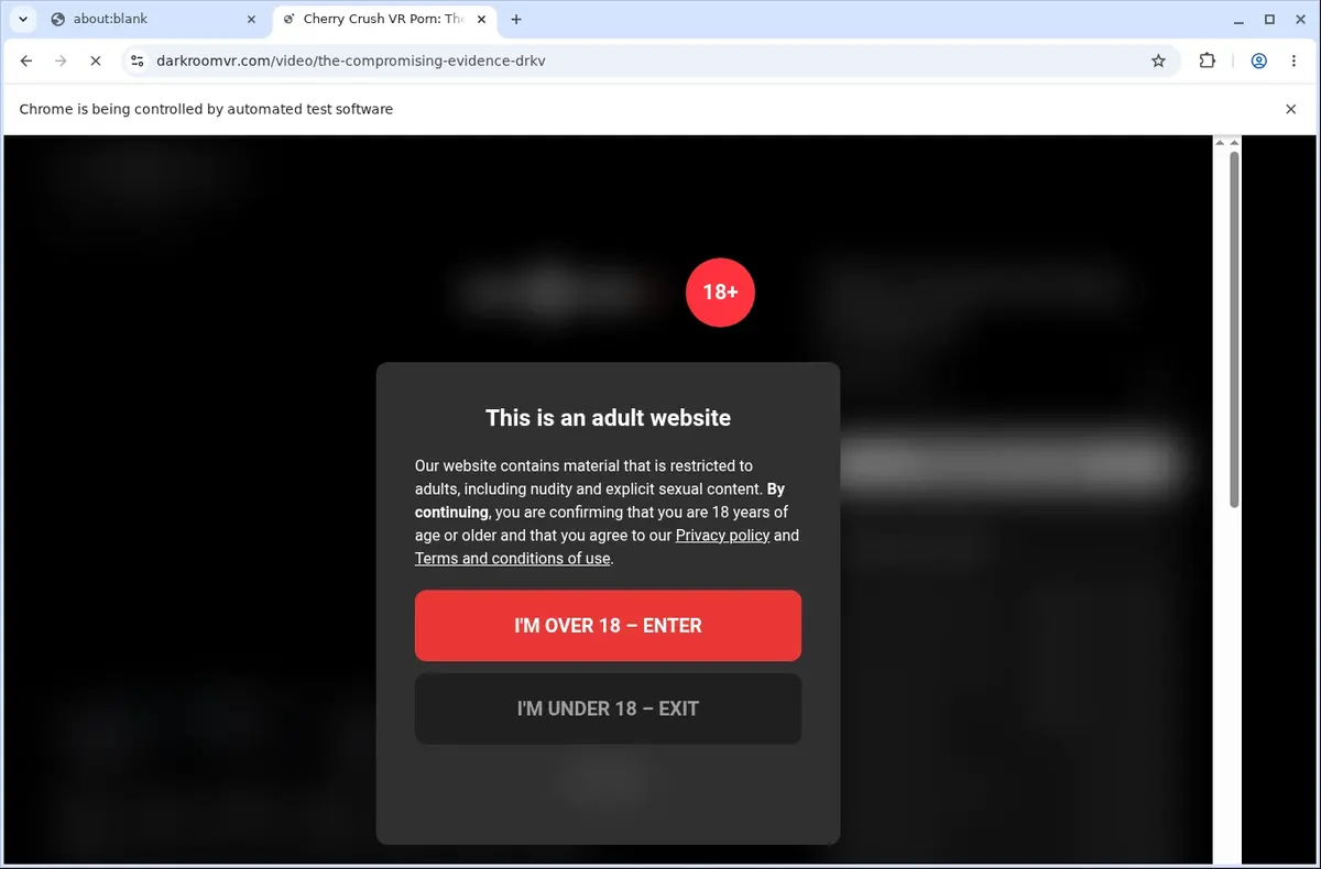 DarkroomVR Video Downloader page open in the browser