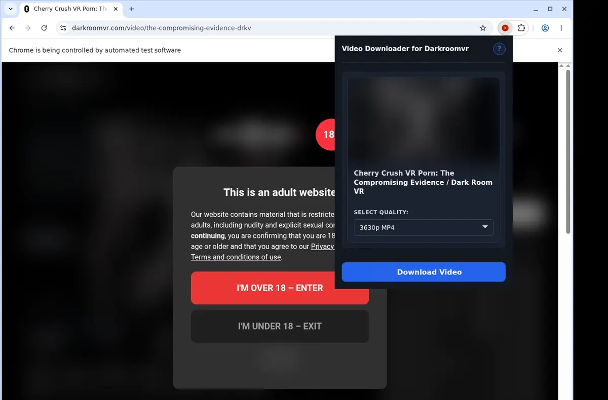 DarkroomVR Video Downloader showing detected media ready to download