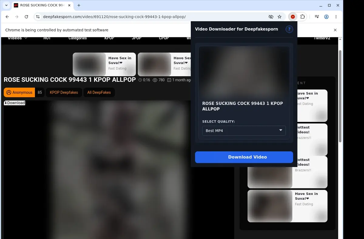 Deepfakesporn Downloader showing detected media ready to download