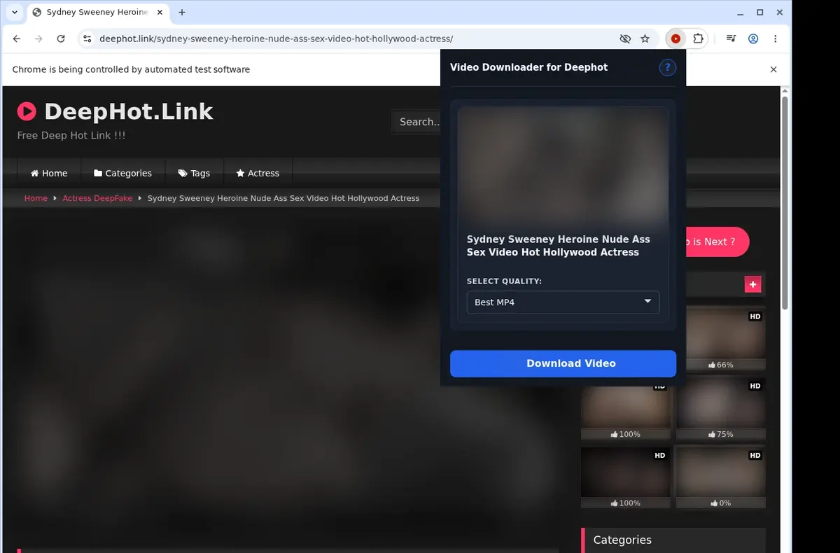 Deephot Video Downloader showing detected media ready to download