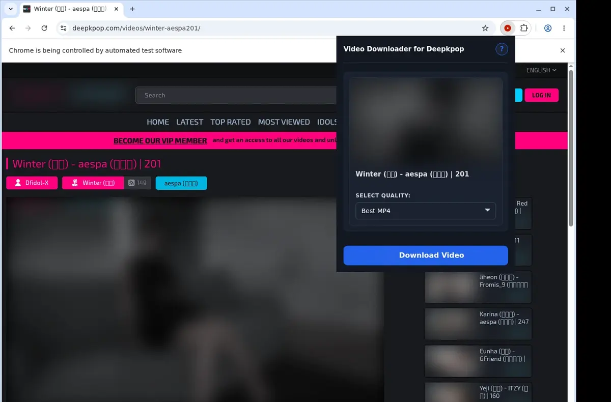 DeepKPop Video Downloader showing detected media ready to download