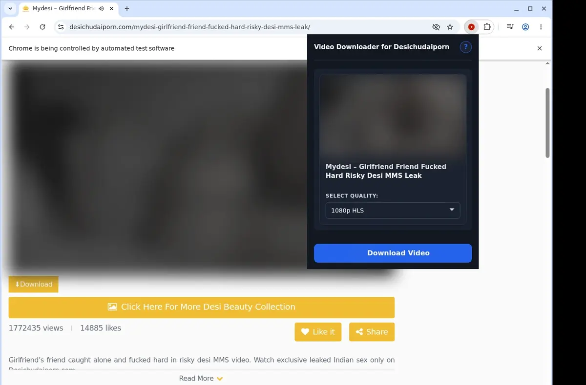 DesiChudaiPorn Video Downloader showing detected media ready to download