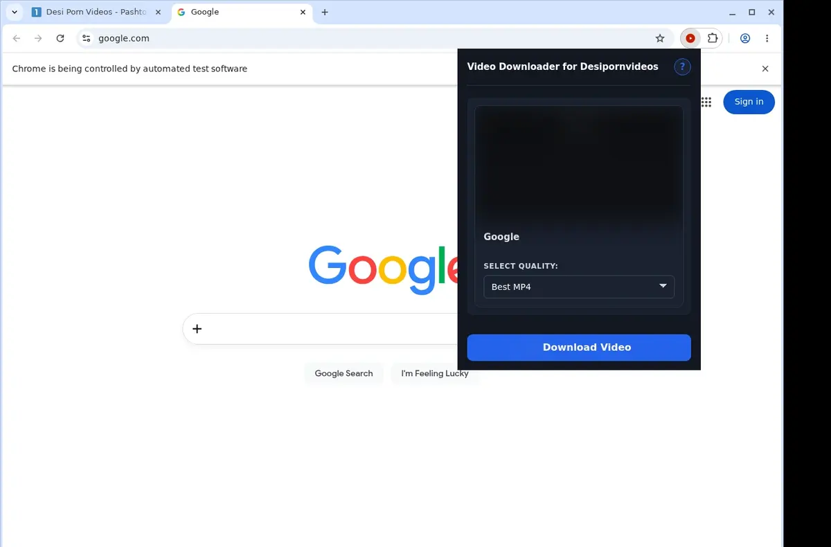 Desi Porn Videos Downloader showing detected media ready to download