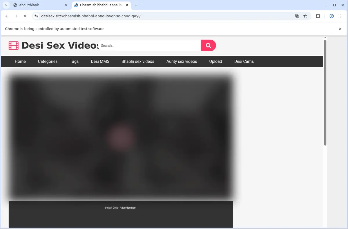 Desisex Downloader page open in the browser