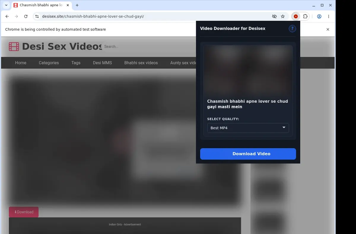Desisex Downloader showing detected media ready to download