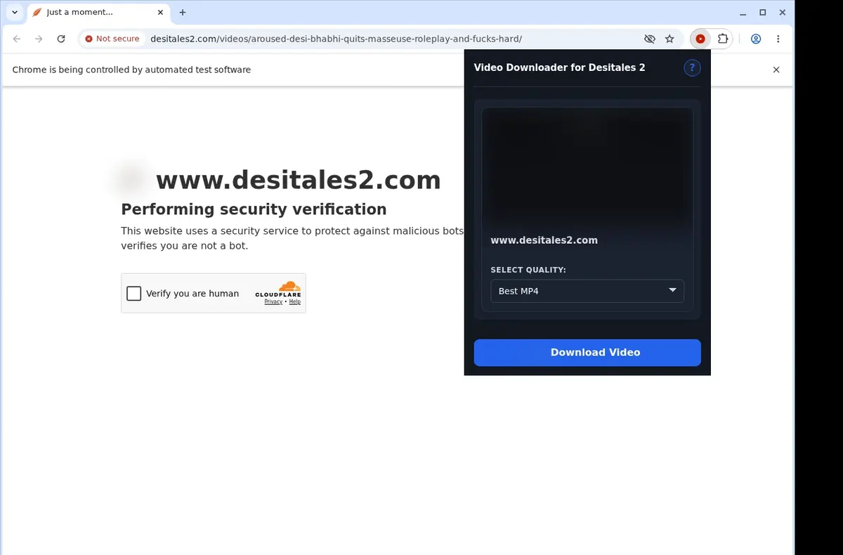 DesiTales2 Video Downloader showing detected media ready to download