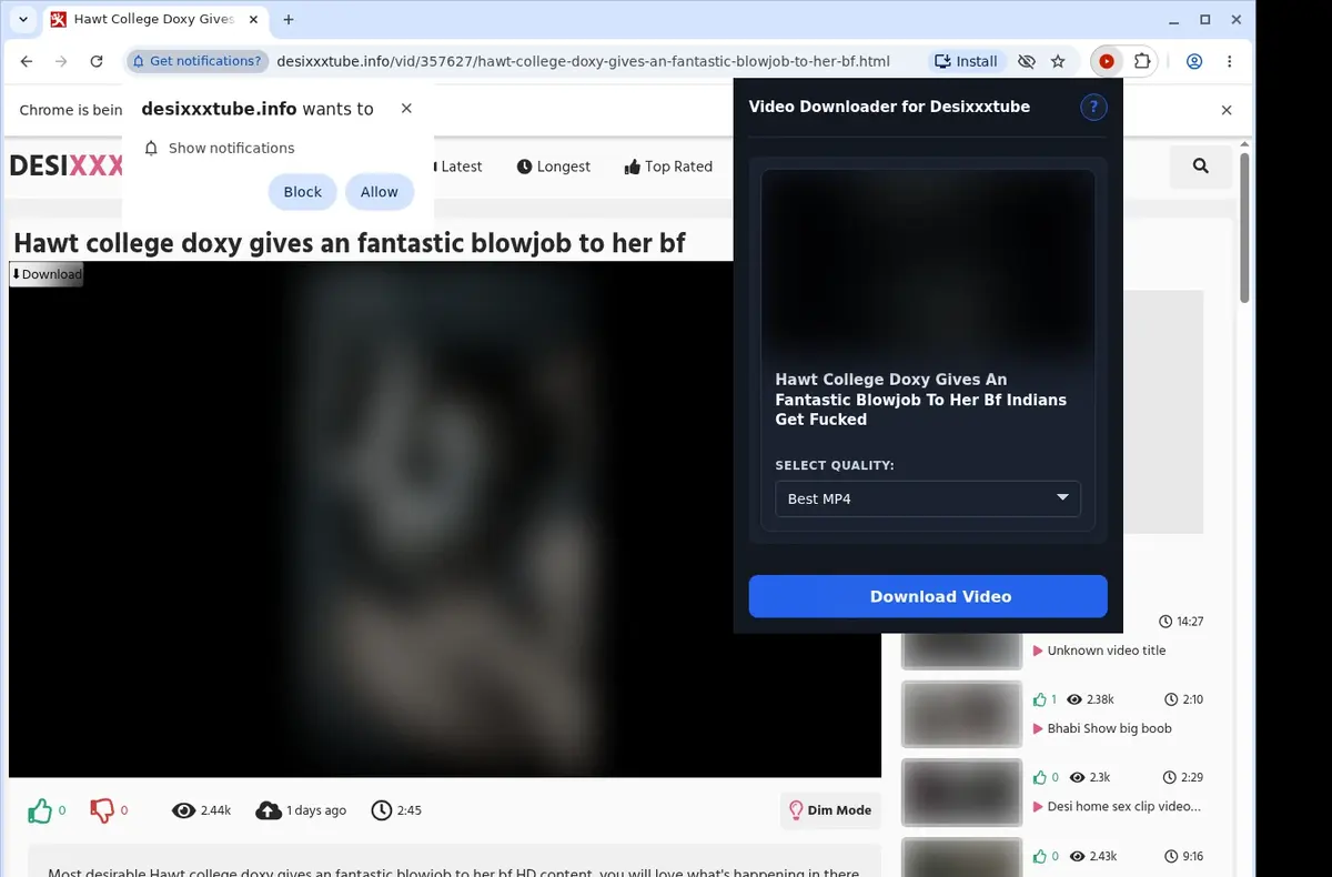 Desi XXX Tube Video Downloader showing detected media ready to download