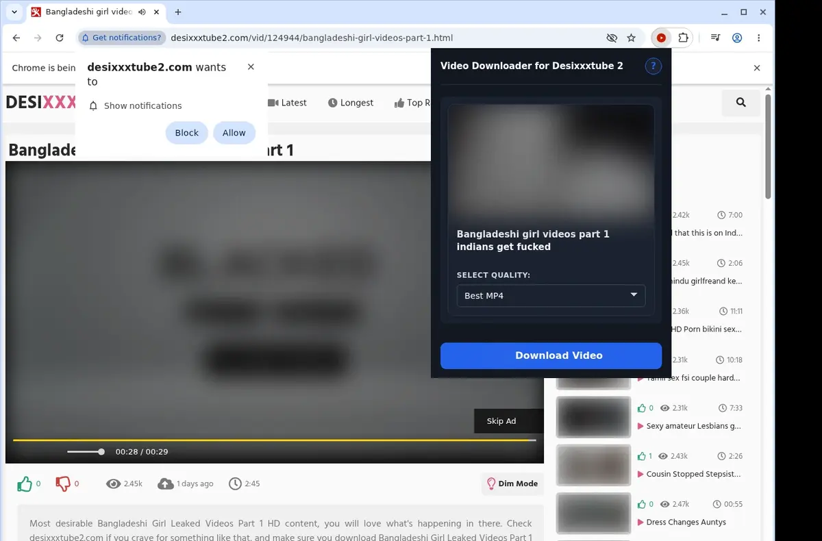 Desi XXX Tube 2 Downloader showing detected media ready to download