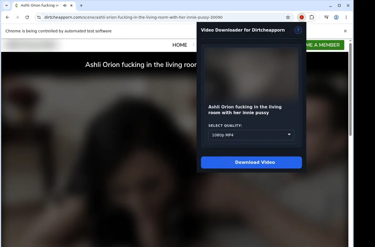 DirtCheapPorn Video Downloader showing detected media ready to download