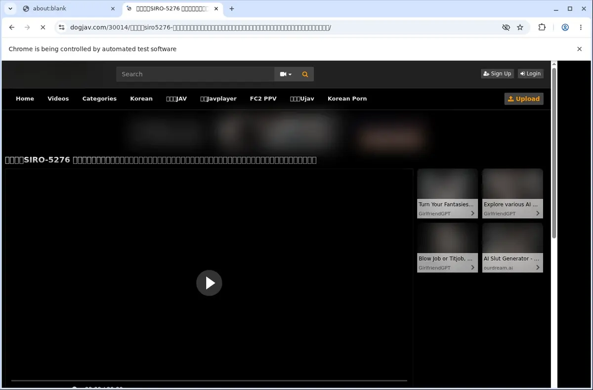 Dogjav Video Downloader page open in the browser