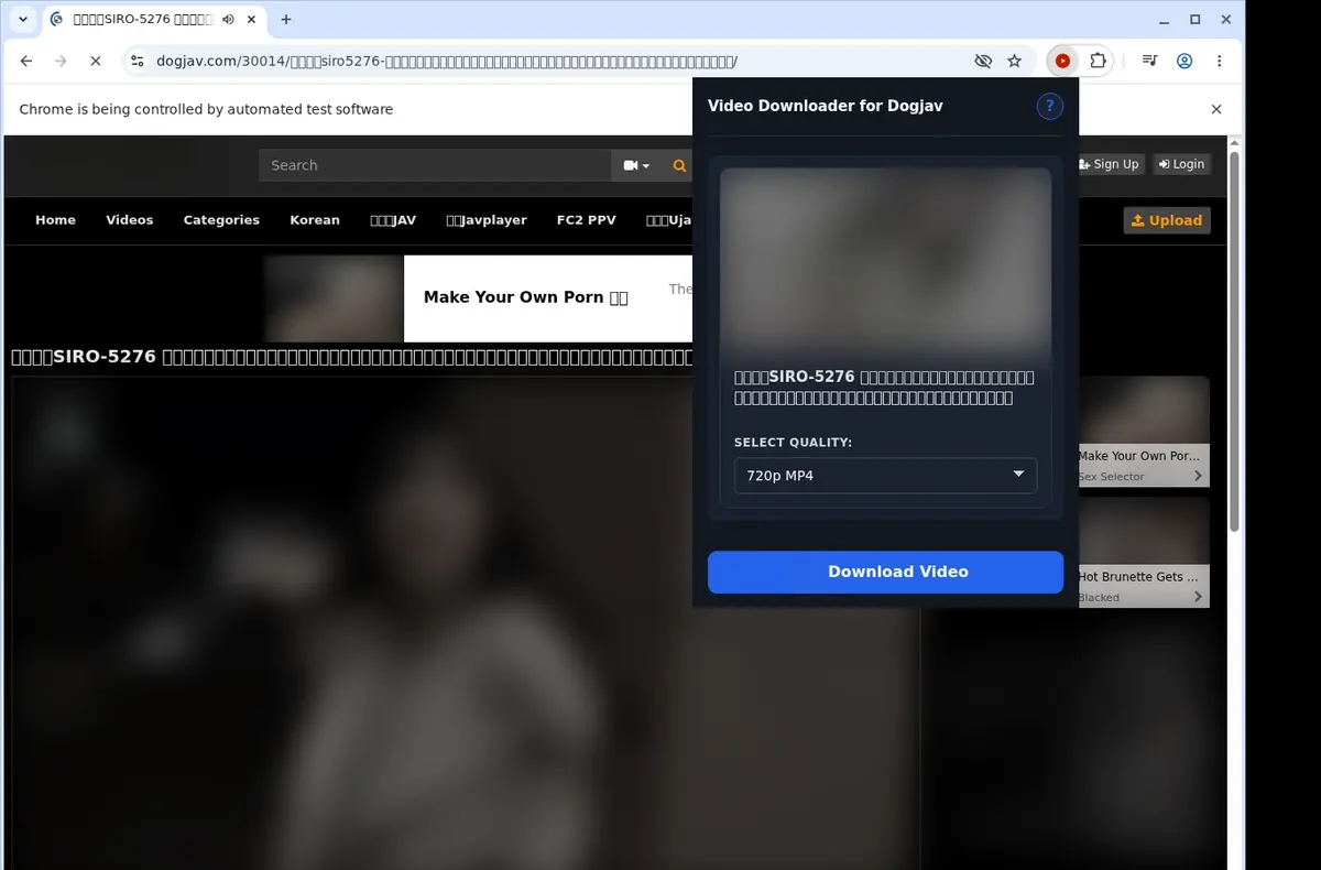 Dogjav Video Downloader showing detected media ready to download