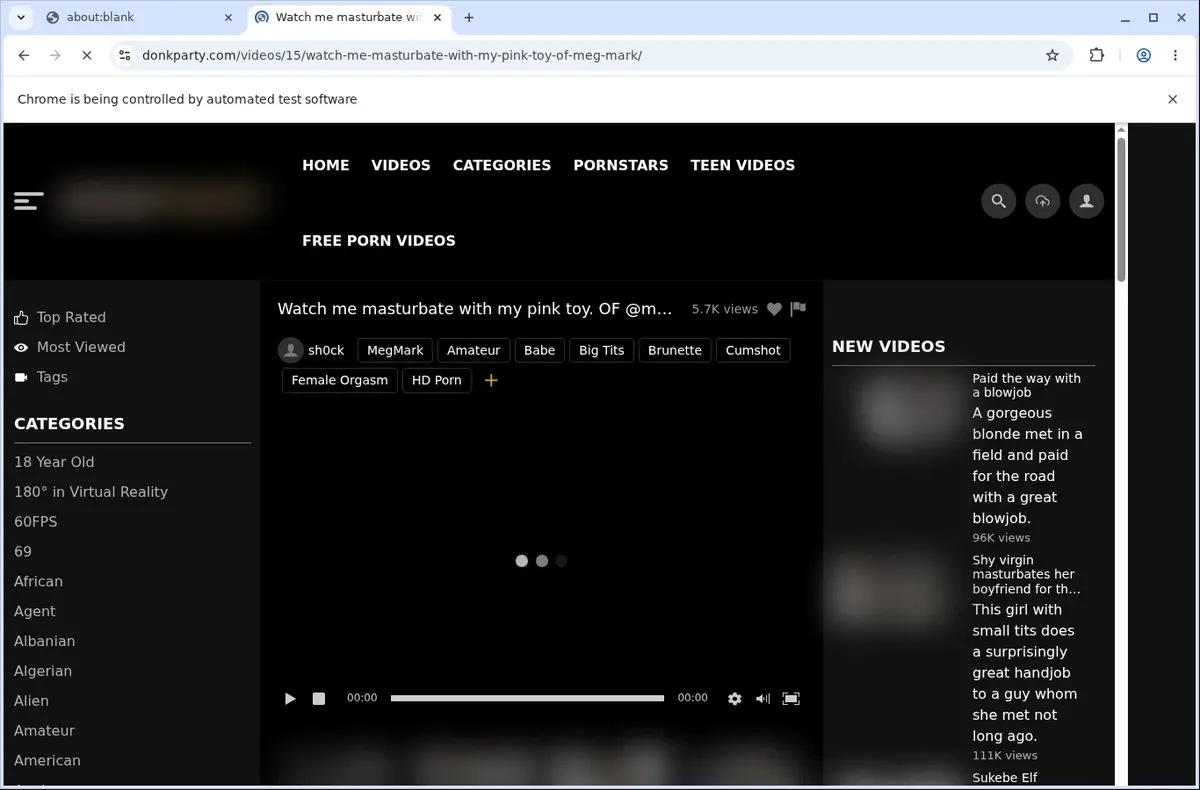 Donkparty Video Downloader page open in the browser