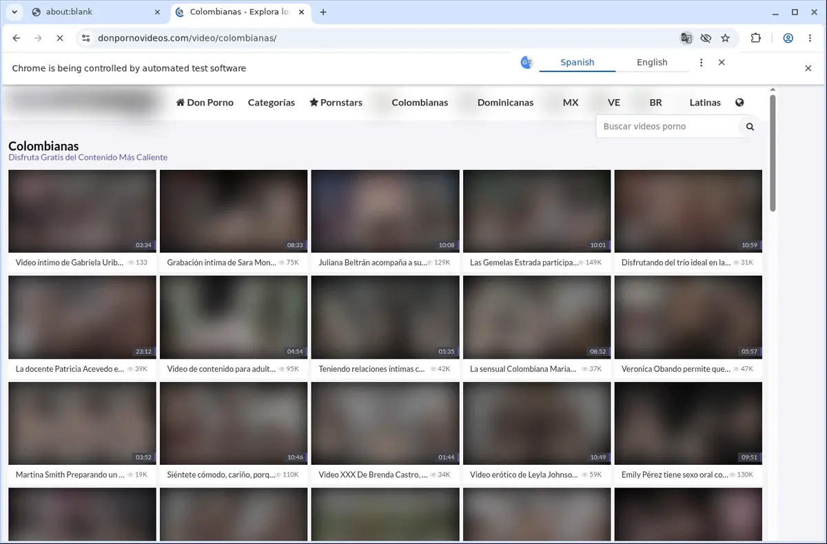 Donpornovideos Downloader page open in the browser