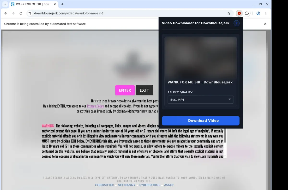 Downblousejerk Video Downloader showing detected media ready to download