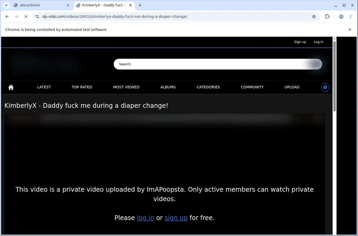 DP Vids Video Downloader page open in the browser