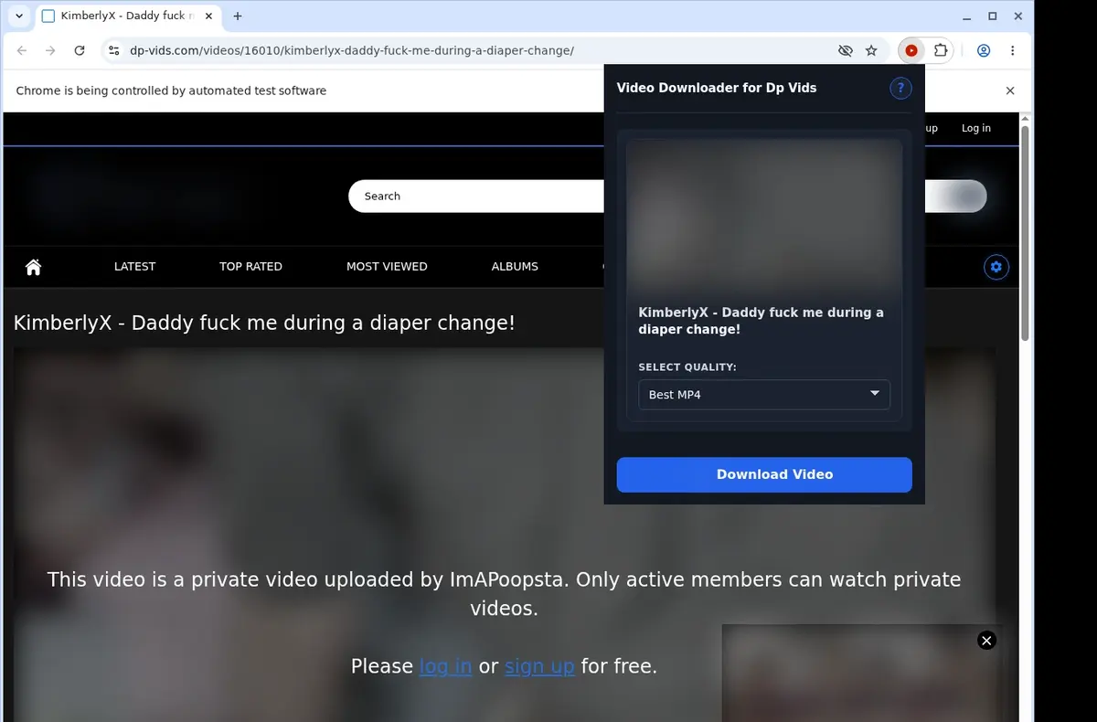 DP Vids Video Downloader showing detected media ready to download