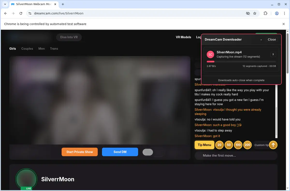 DreamCam Video Downloader page open in the browser