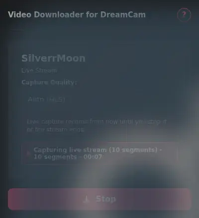 DreamCam Video Downloader showing detected media ready to download