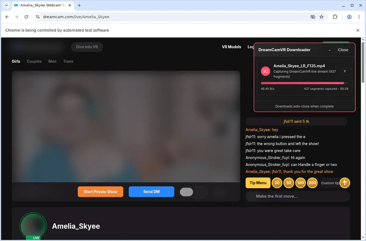 DreamCamVR Video Downloader page open in the browser