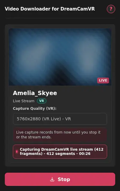 DreamCamVR Video Downloader showing detected media ready to download