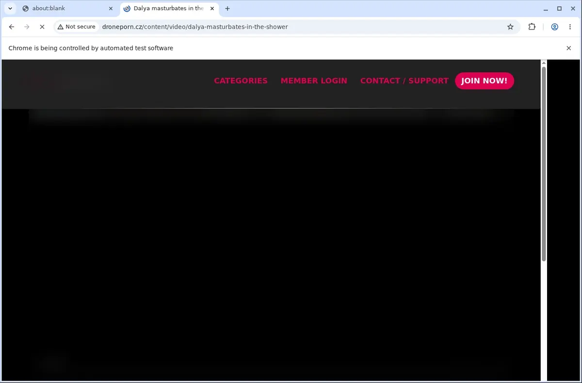 DronePorn Video Downloader page open in the browser