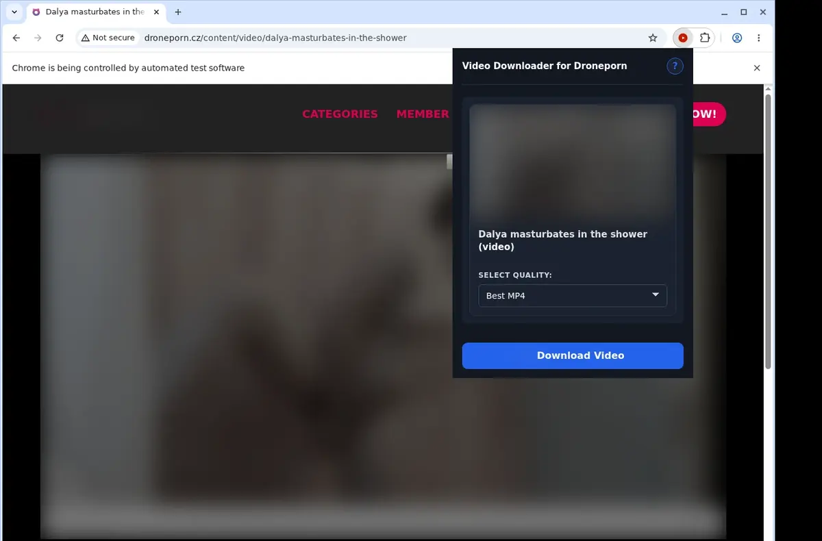 DronePorn Video Downloader showing detected media ready to download
