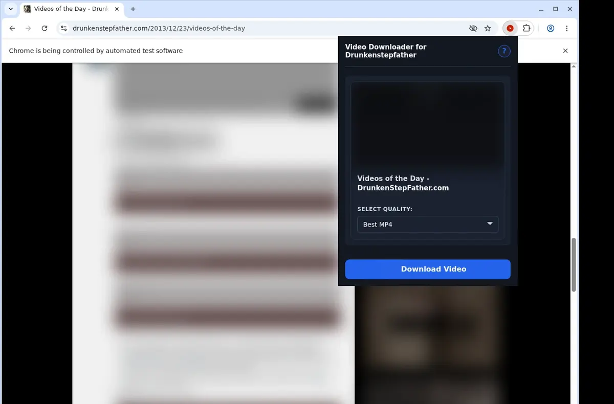 DrunkenStepfather Video Downloader showing detected media ready to download