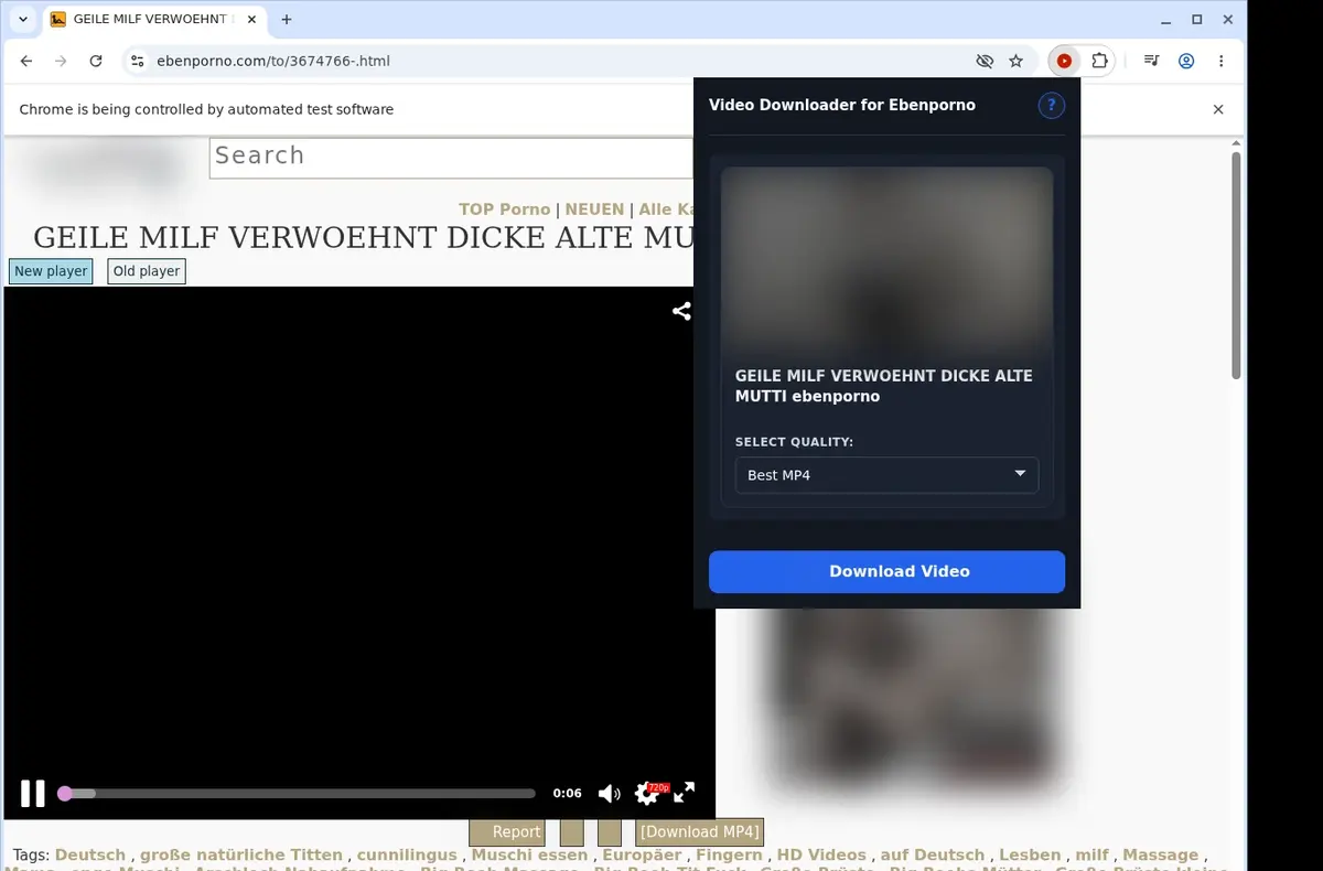 Ebenporno Video Downloader showing detected media ready to download