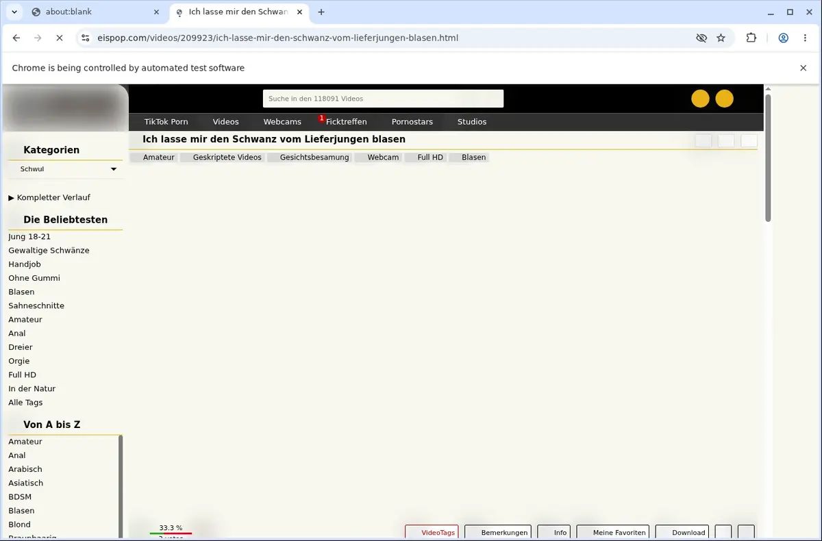 Eispop Video Downloader page open in the browser