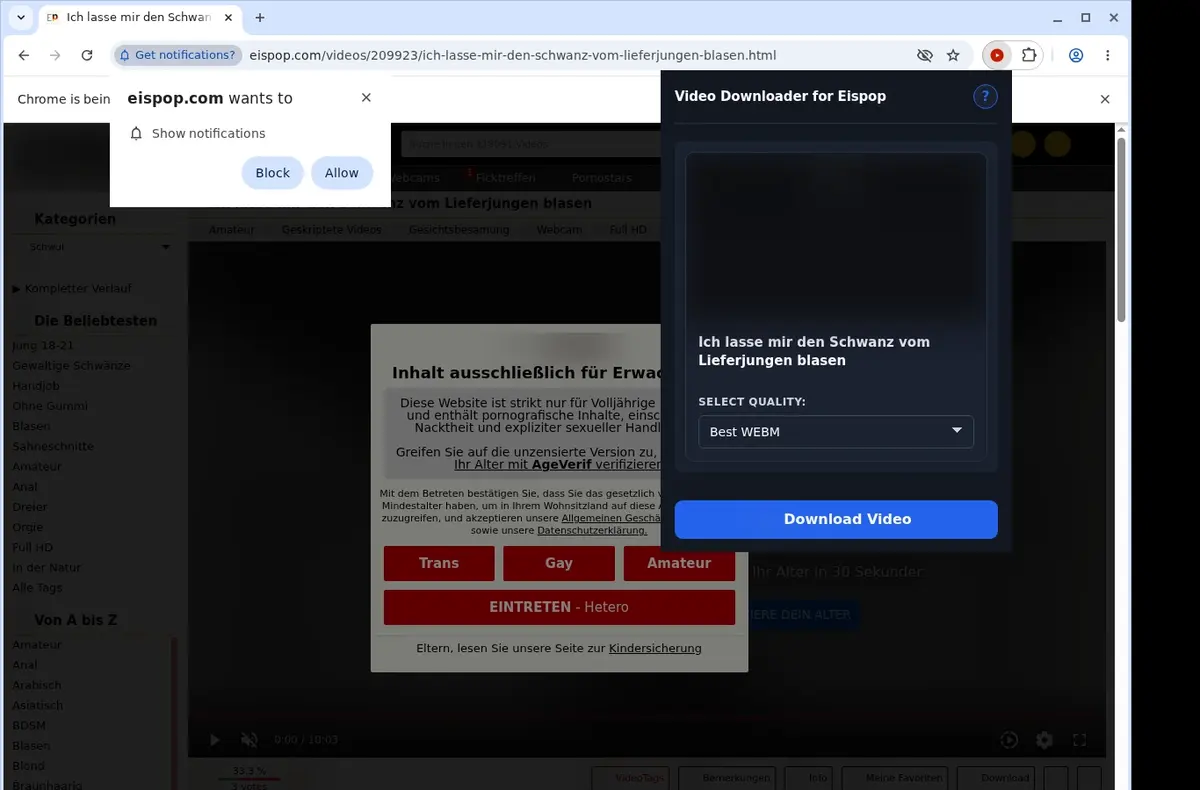 Eispop Video Downloader showing detected media ready to download