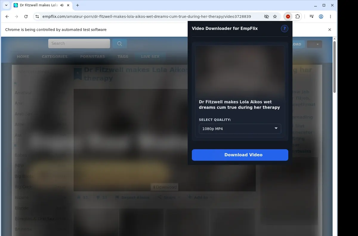 EmpFlix Downloader showing detected media ready to download