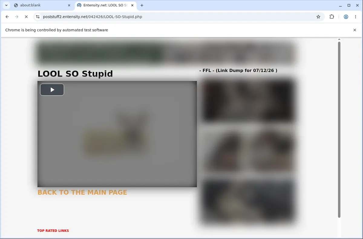 Entensity Downloader page open in the browser