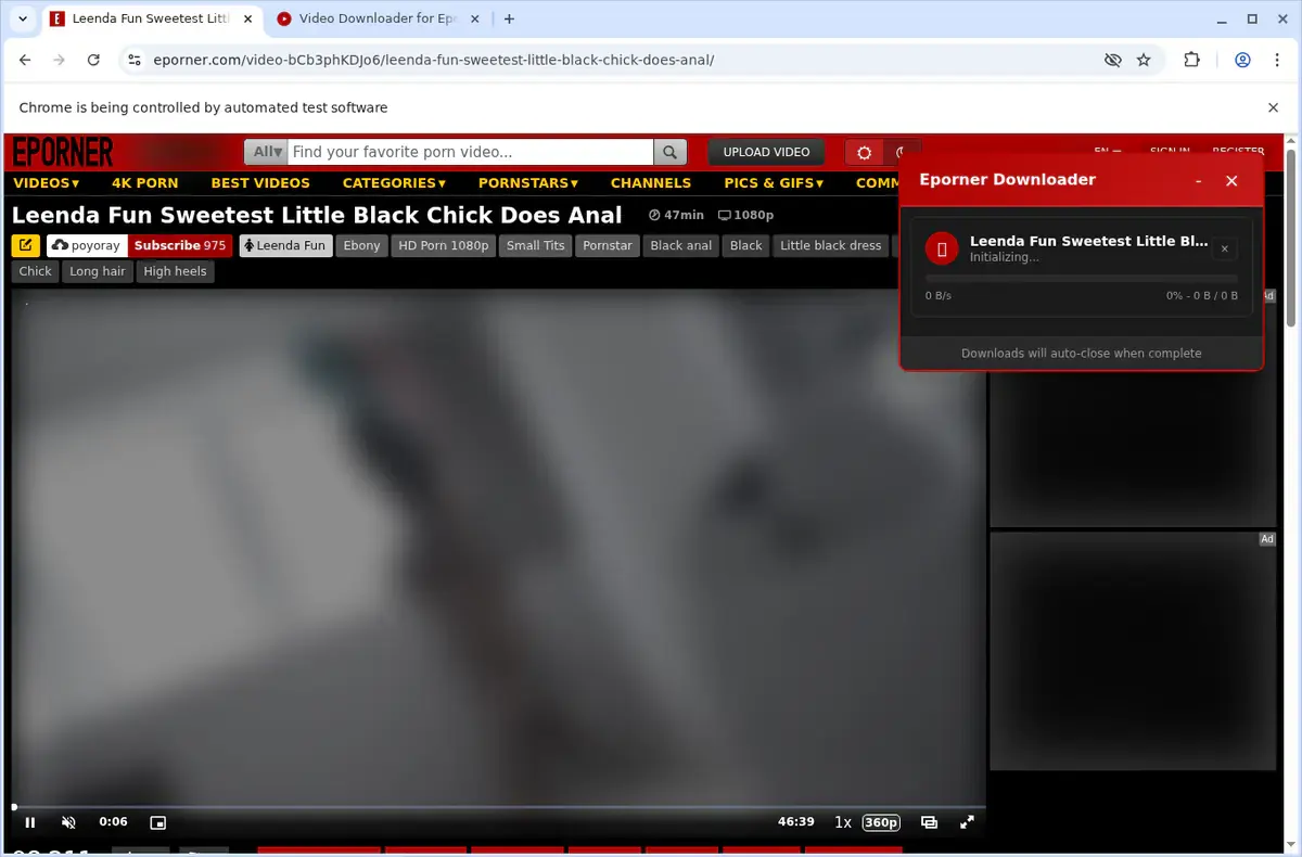 EPorner Video Downloader page open in the browser