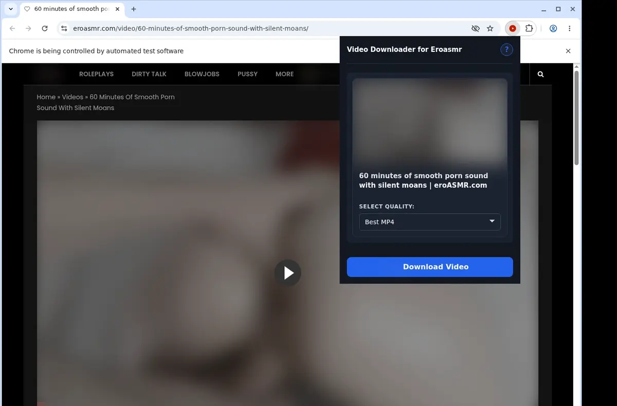 EroASMR Video Downloader showing detected media ready to download