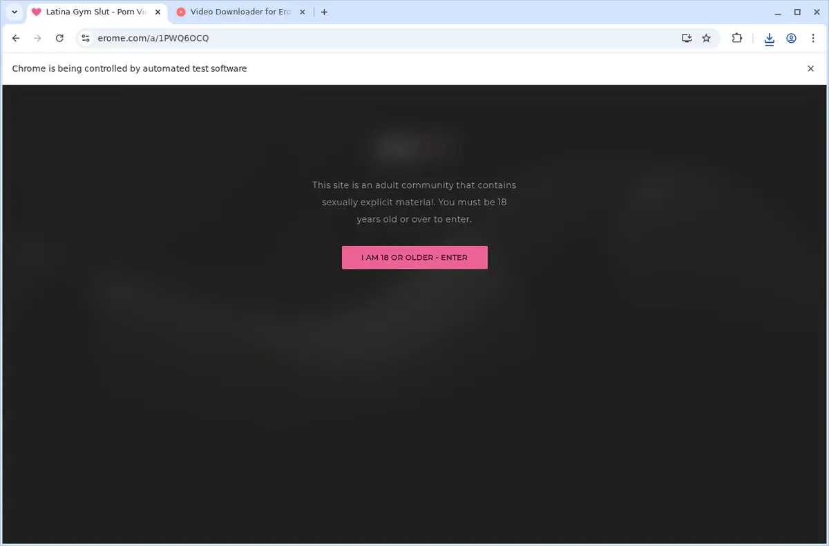 EroMe Downloader download progress panel