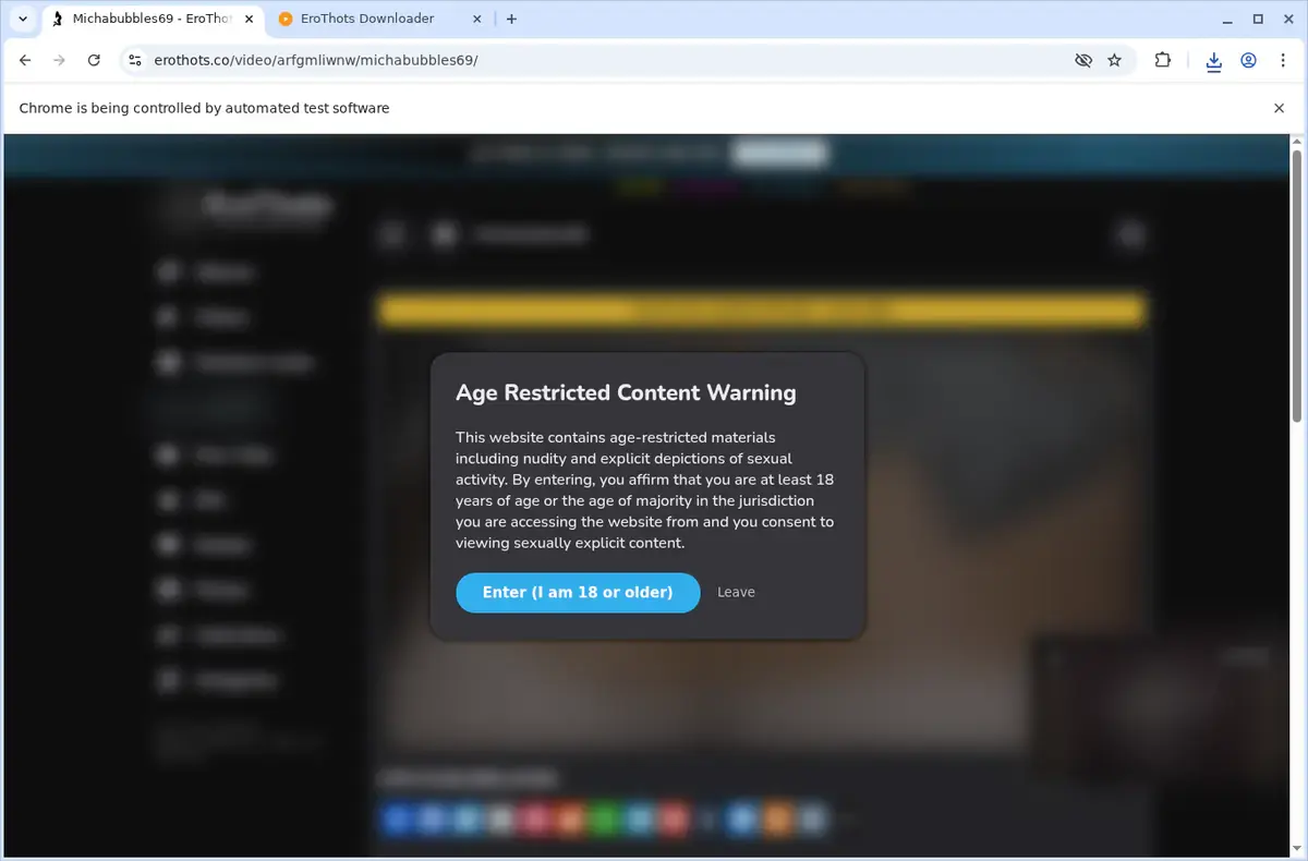 EroThots Video Downloader download progress panel