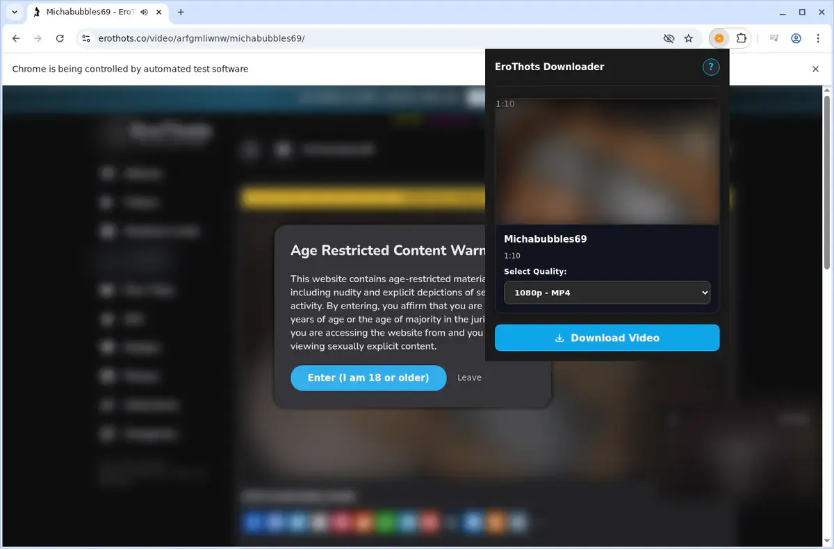 EroThots Video Downloader showing detected media ready to download