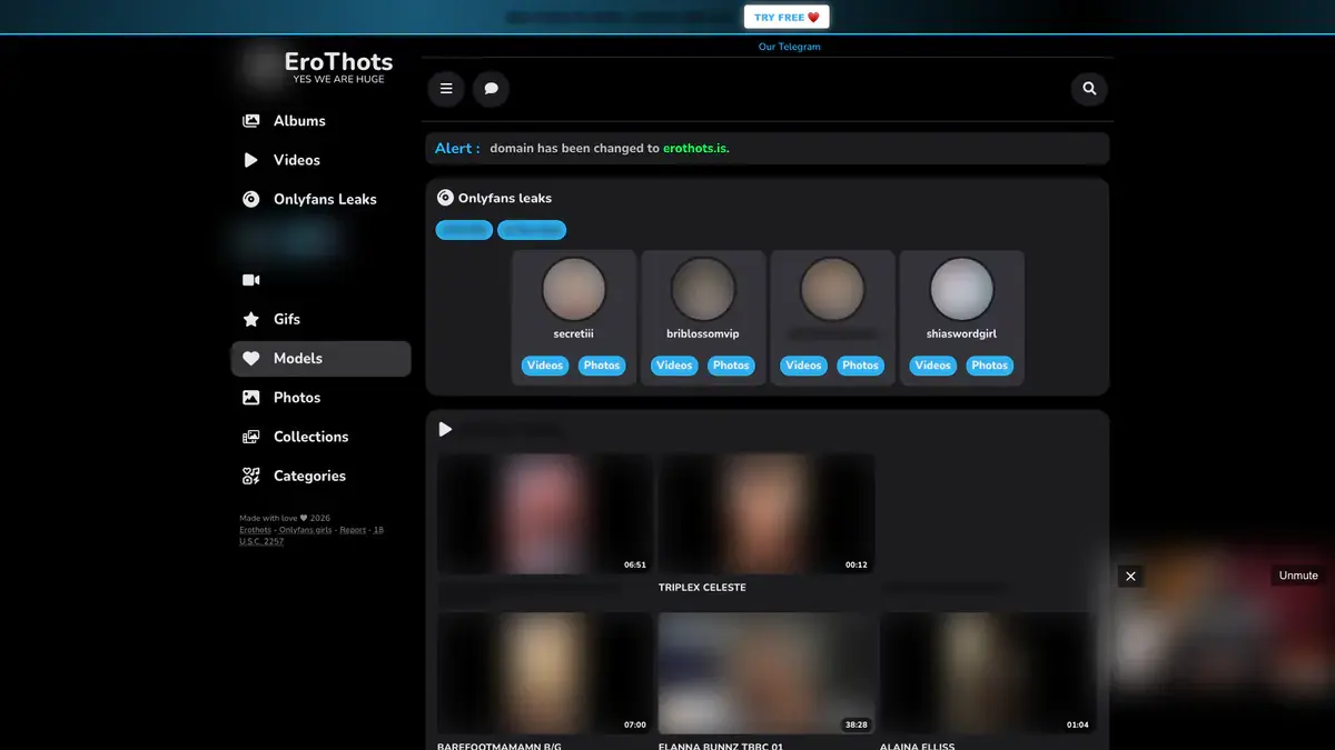 EroThots Video Downloader page open in the browser
