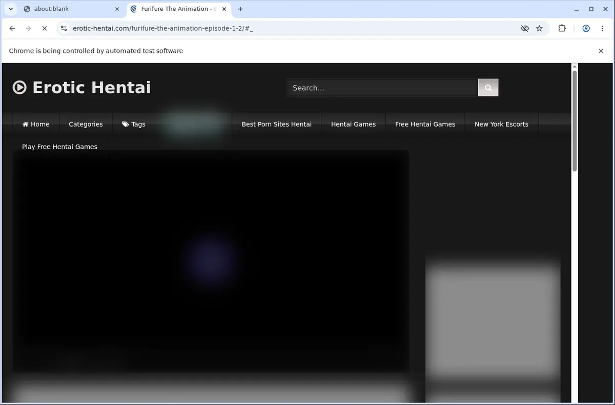Erotic Hentai Video Downloader page open in the browser