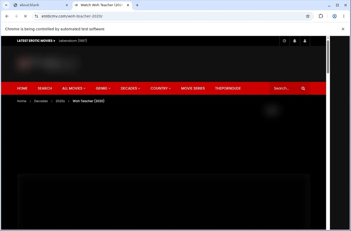 EroticMV Downloader page open in the browser