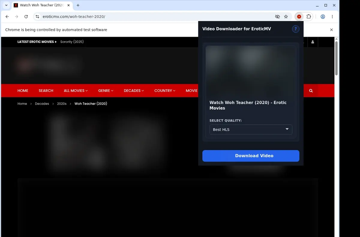 EroticMV Downloader showing detected media ready to download