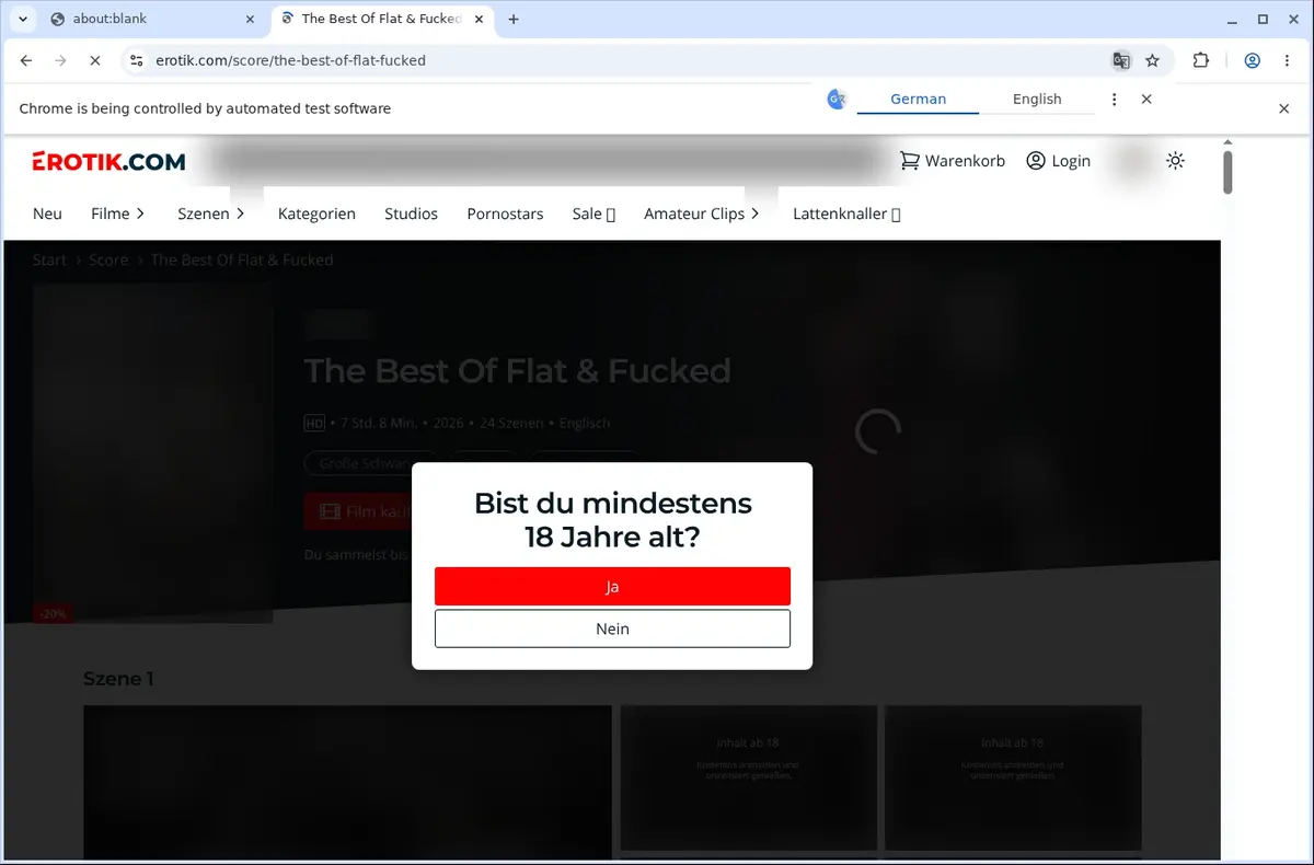 Erotik Downloader page open in the browser