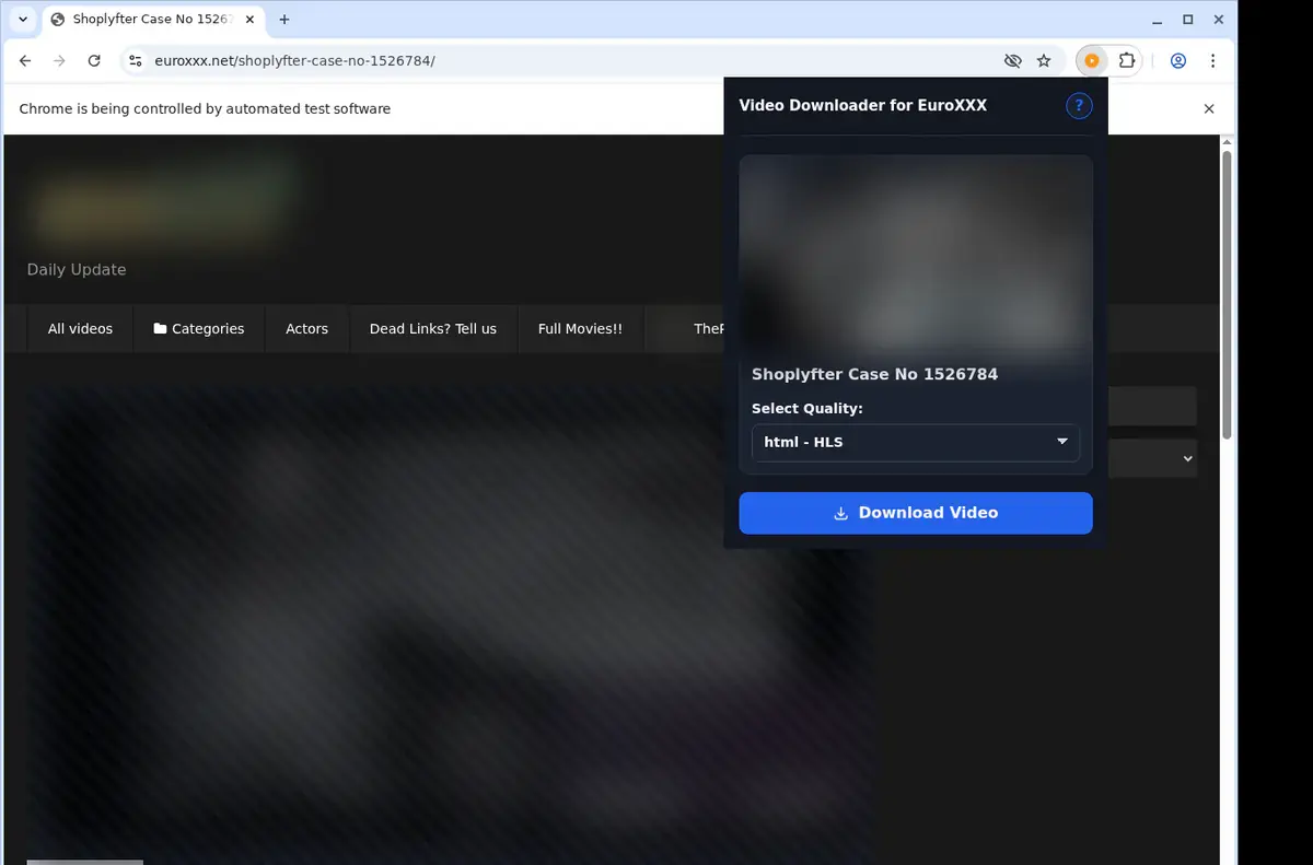 EuroXXX Downloader showing detected media ready to download