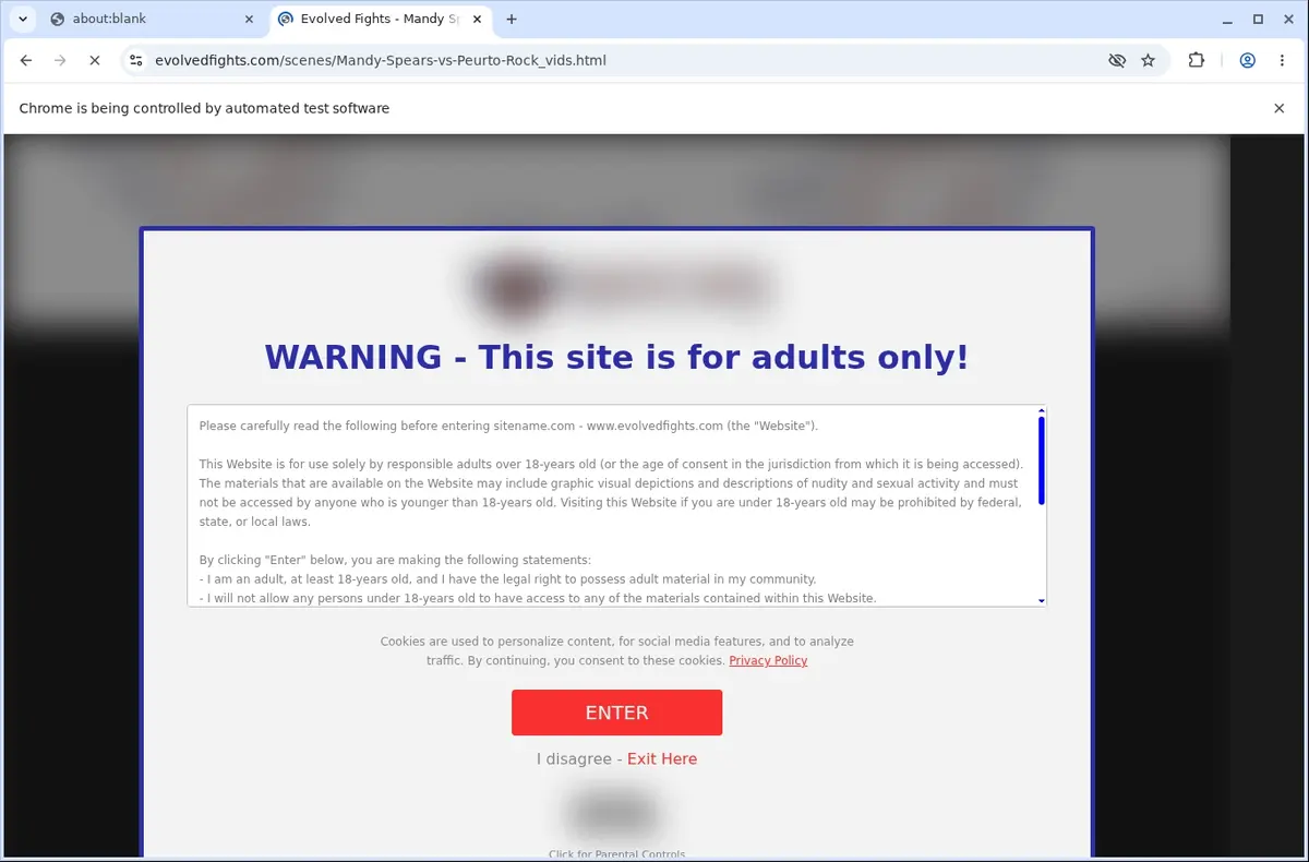 EvolvedFights Video Downloader page open in the browser