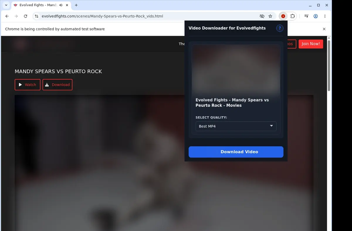 EvolvedFights Video Downloader showing detected media ready to download