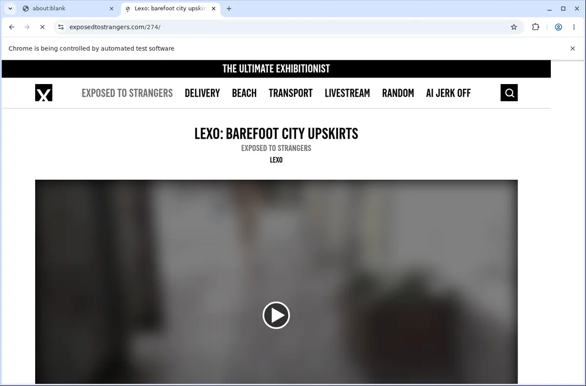 ExposedToStrangers Video Downloader page open in the browser