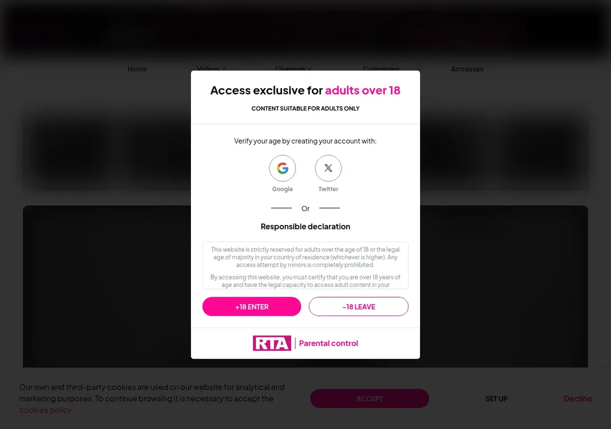 FAkings TV Downloader showing detected media ready to download