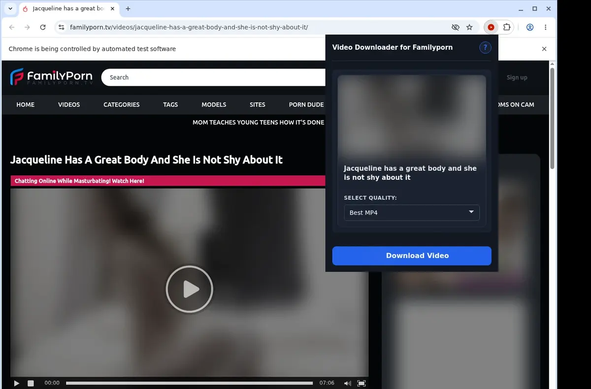 FamilyPorn.tv Video Downloader showing detected media ready to download